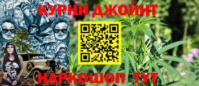 мдпв Дубна