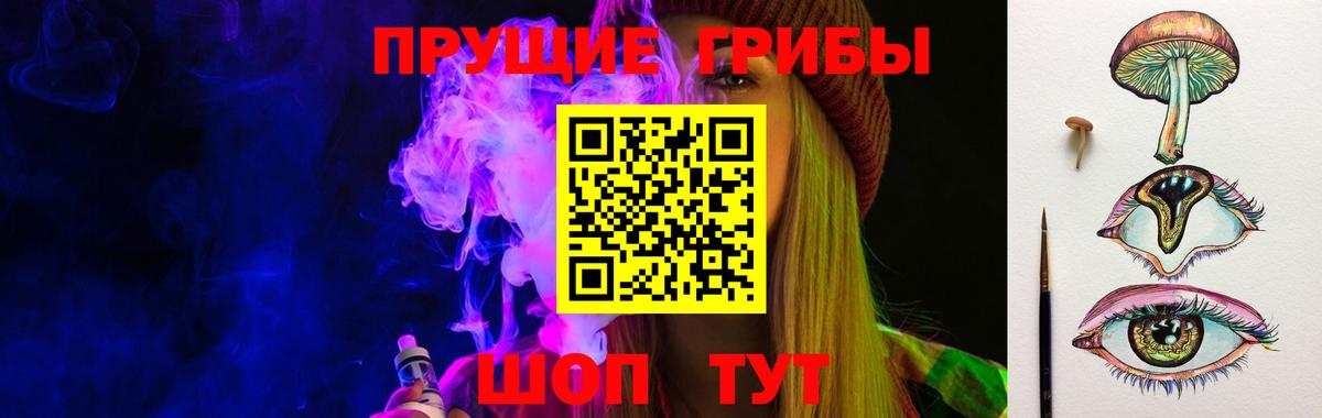 Галлюциногенные грибы Psilocybe Мичуринск